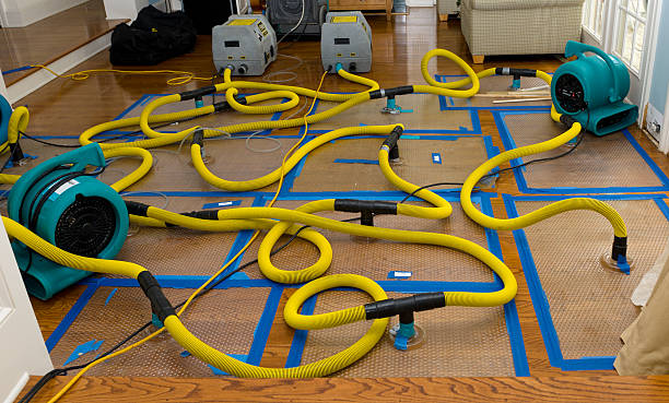Professional Storm Water Damage Restoration technician working in Howard, SD